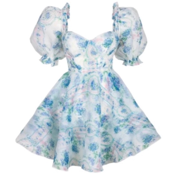 Selkie Dresses & Skirts - Selkie La Belle Etoile Parliament dress
